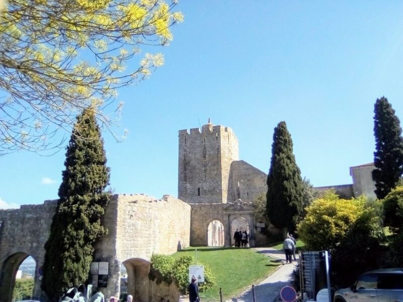 Tour of Arrábida and beautiful landscapes and wine tasting - Traditional Lunch and Optional Dining Choices