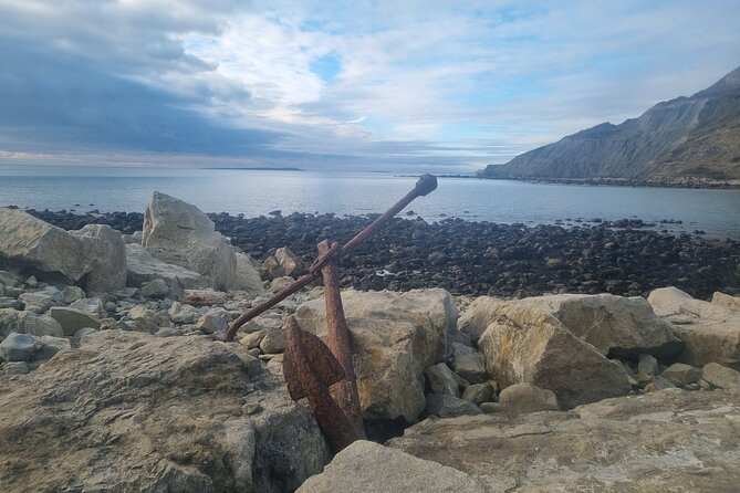 Tour of East Dorset-Durdle Door, Corfe Castle, Lulworth & more. - Experienced Guide and Personalized Service