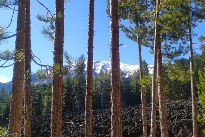 Tour of Etna on foot, food and wine tasting in the Etna winery - Visiting Mount Etna at 2000 Meters with a Private Vehicle