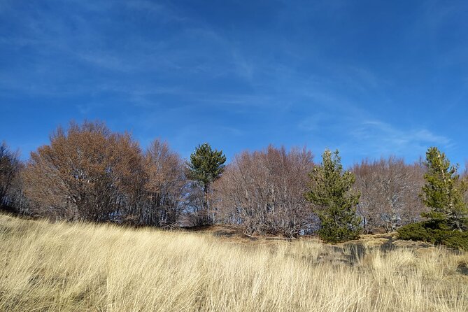 Tour of Etna on foot, food and wine tasting in the Etna winery - What Sets This Tour Apart: Geology and Wine in a Single Day