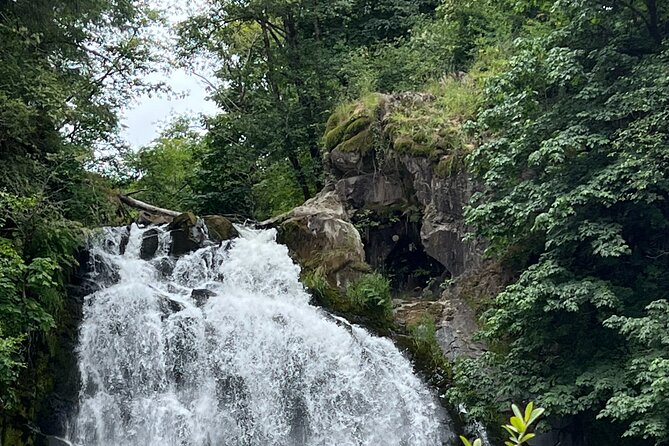 Tour of Fort Clatsop, Youngs River Falls & Warrenton Countryside - Discover Oregon’s North Coast with a 3-Hour Small-Group Tour