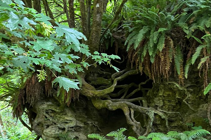 Tour of Fort Clatsop, Youngs River Falls & Warrenton Countryside - Final Thoughts on the Fort Clatsop, Youngs River Falls & Warrenton Countryside Tour