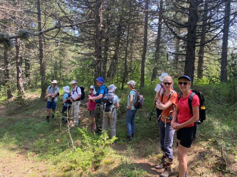 Tour of Korça & The Hidden Gems of Albania, 5 days - Korça City Tour: Beyond the Cathedral