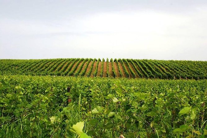 Tour of Kruja and Wine Tasting in one Day from Tirana - Logistics and Practical Details