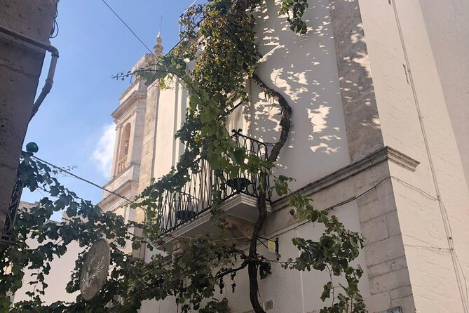 Tour of LOCOROTONDO and ALBEROBELLO departing from Bari - The Practical Aspects: Booking, Cancellation, and Weather