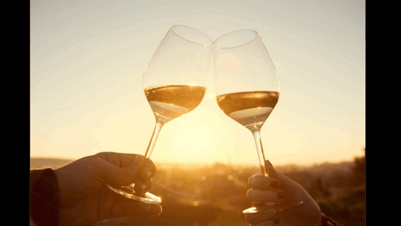 Tour of Machiavelli's House & Dinner with Wine Tasting - Key Points