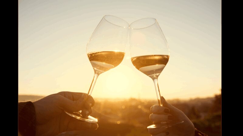 Tour of Machiavelli's House & Dinner with Wine Tasting - Savor a Gourmet Dinner at "Albergaccio"