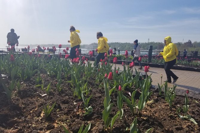 Tour of Niagara Falls with Boat Cruise - Flexible Itinerary with a Mix of Sightseeing and Free Time