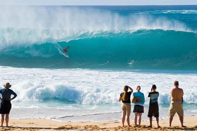 Tour of North Shore & Waimea Waterfall - Taking in Nature at Waimea Valley and Botanical Gardens