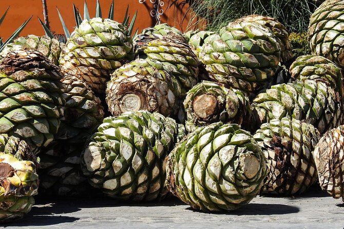 Tour of Puebla and tour of Atlixco (private tour) - Discovering Atlixcos Colorful Gardens and Historic Streets