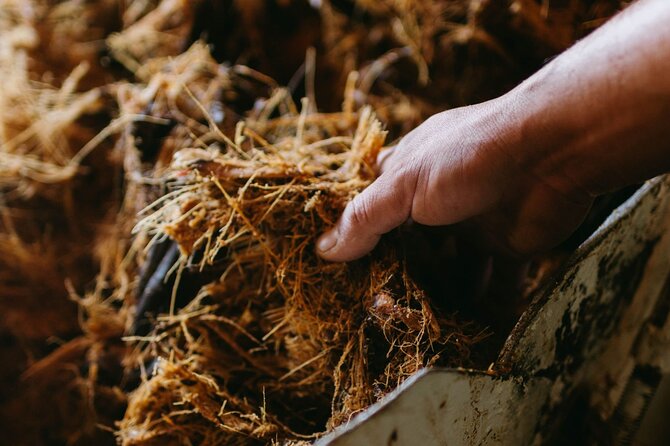 Tour of Puebla and tour of Atlixco (private tour) - Scenic Stops in Atlixco: La Escalera and Gardens