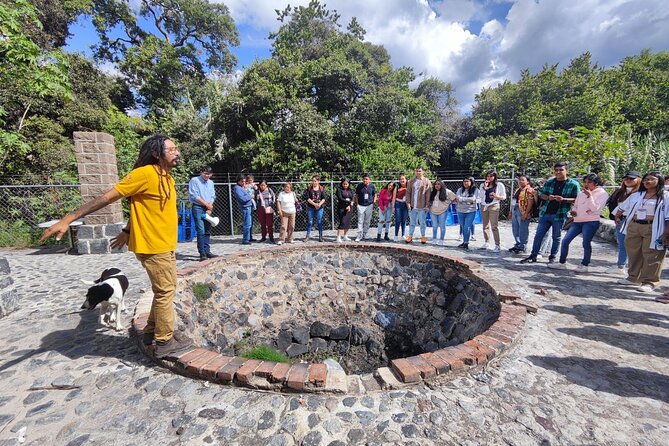 Tour of Puebla and tour of Atlixco (private tour) - What Sets This Tour Apart from Similar Offers