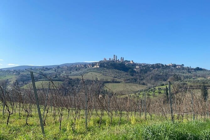 Tour of San Gimignano and Private Wine Experience in Chianti - Tasting the Finest Wines at Cantine Guidi