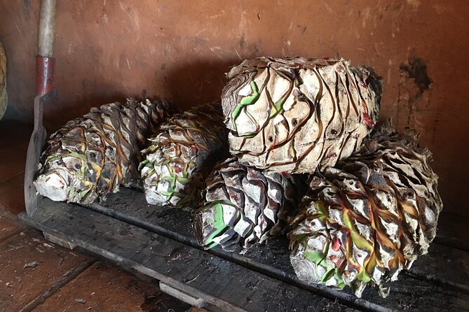 Tour of San Sebastián del Oeste with Lunch - Coffee Factory Visit and Organic Coffee Tasting