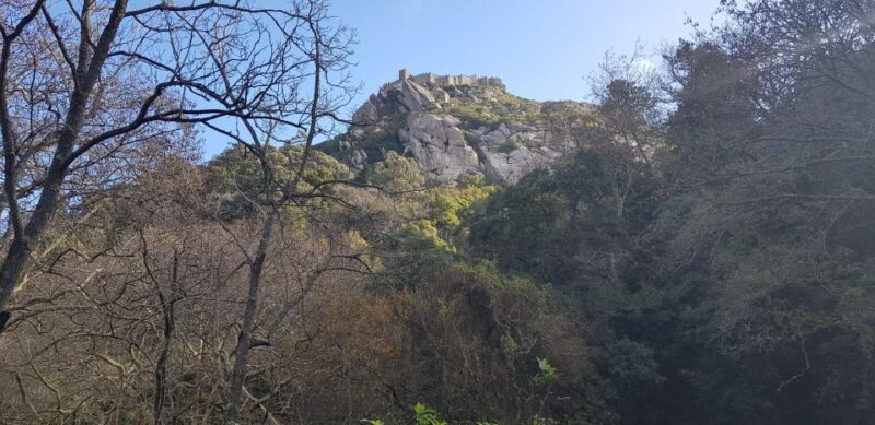 Tour of Sintra 5 hours - Practical Details: What to Bring and How the Tour Operates