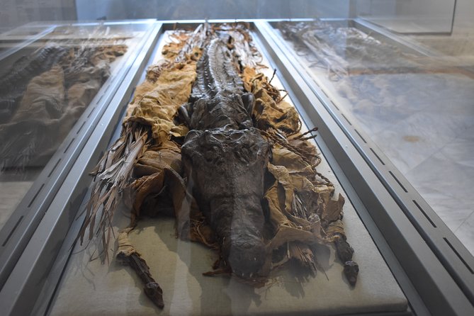 Tour of the Archaeological Museum of Naples - Who Should Consider This Tour?