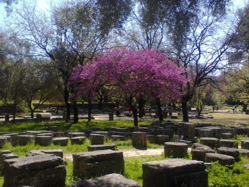Tour of the archaeological site of Olympia by an Italian-Greek archaeologist - Discovering Olympia with an Expert Archaeologist