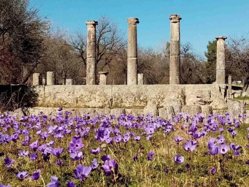 Tour of the archaeological site of Olympia by an Italian-Greek archaeologist - The Olympic Stadium and Athletic Training Areas