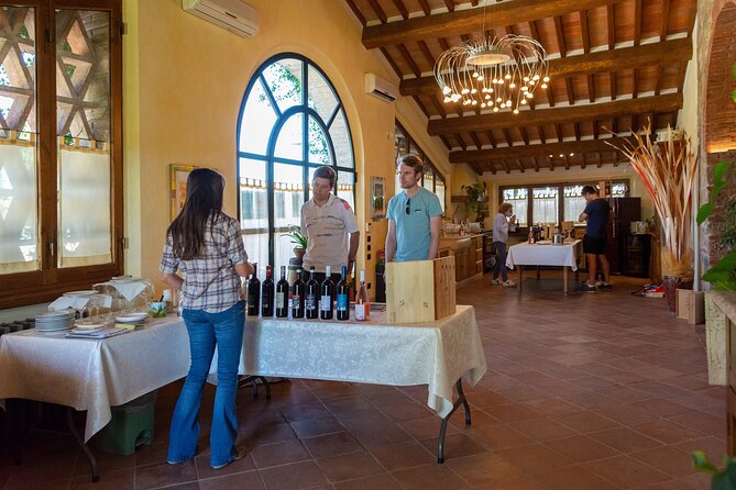 Tour of the cellar and tasting of 6 wines - Discover the Charm of Cantalici Winery in Lucca