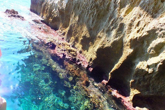 Tour of the island of Ortigia and exploration of sea caves with baths. - Practical Considerations and Booking Tips