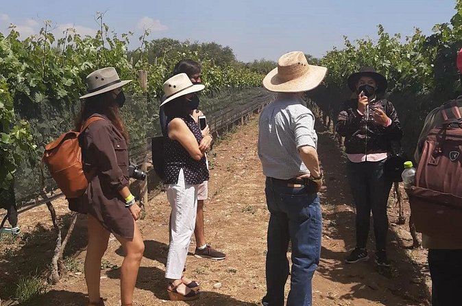 Tour of the Tradition and History of Cheese and Wine in Querétaro - The Art of Mexican Wine and Cheese