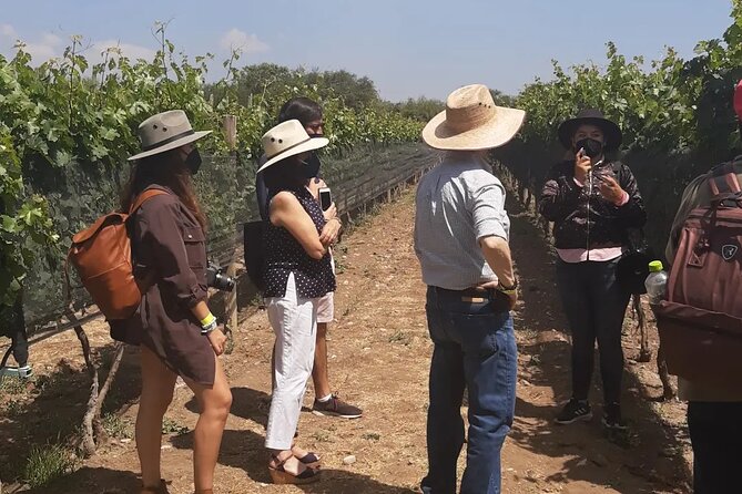 Tour of the Tradition and History of Cheese and Wine in Querétaro - Practical Details and Group Experience