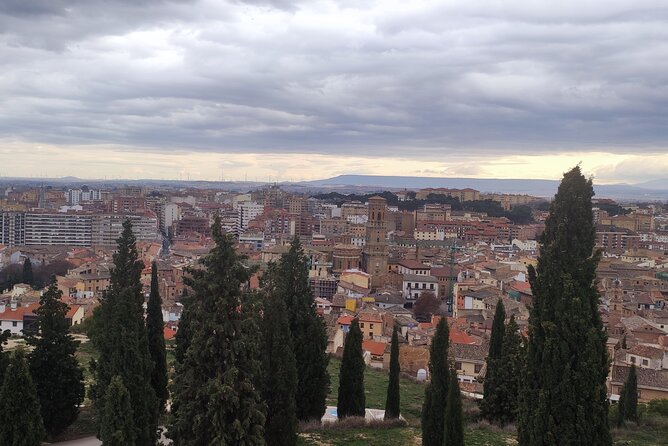 Tour of Tudela and the great desert of Europe. - Logistics and Convenience