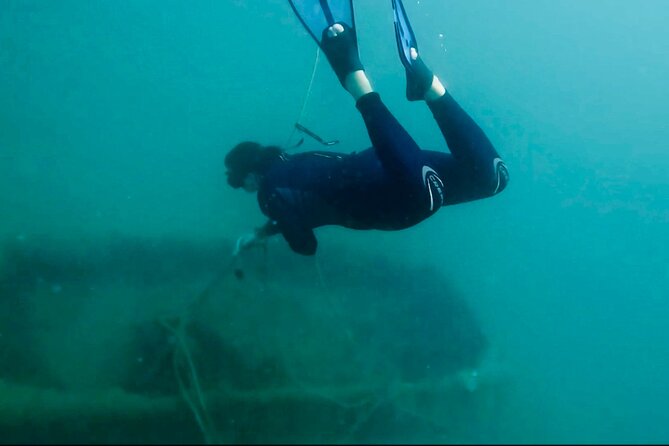 Tour on boat along the coast of Benalmadena with a lot of sea activities!! - Food, Drink, and Additional Inclusions