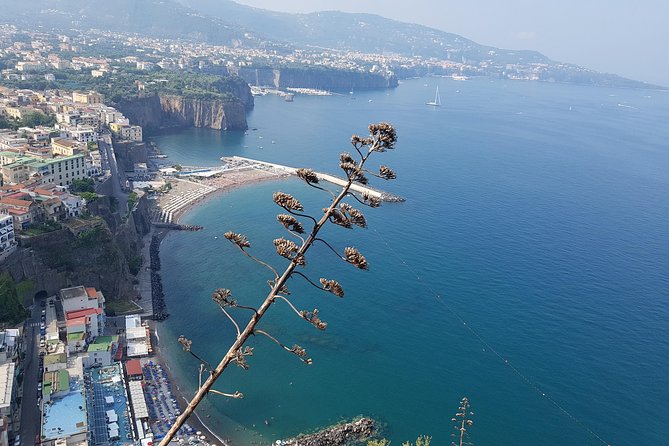 Tour on the Amalfi Coast: Ravello, Amalfi and Positano, a day from Rome - Discover the Charm of the Amalfi Coast on a Private Day Trip from Rome