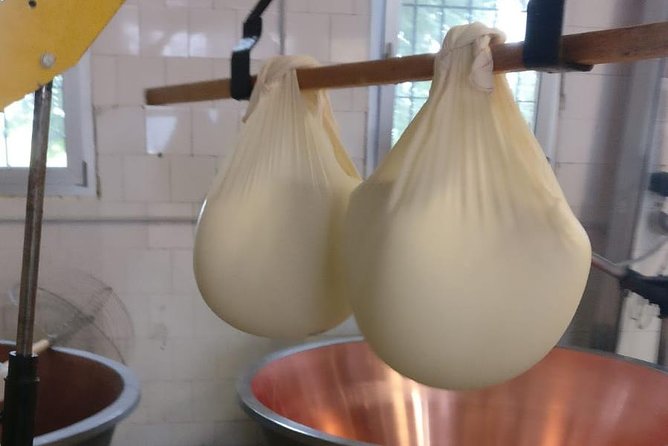 Tour Parmigiano Reggiano dairy and Parma ham - Exploring a Family-Owned Parma Ham Factory