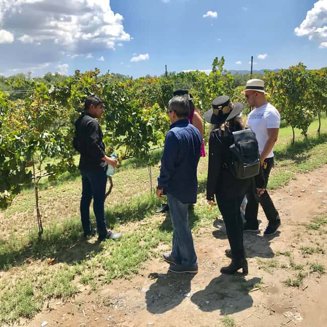 Tour "Parras de la Fuente" + Guía + Traslados + Tickets - Explore Parras de la Fuente’s Vineyards and Historic Town in a Full-Day Tour