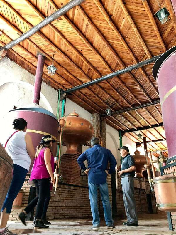 Tour "Parras de la Fuente" + Guía + Traslados + Tickets - Visiting Casa Madero, Latin America’s Oldest Winery