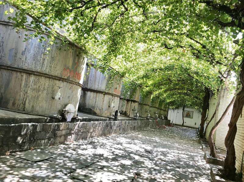 Tour "Parras de la Fuente" + Guía + Traslados + Tickets - Visiting the Wine Shop Segovia Fuantos