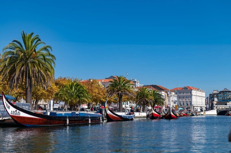 Tour Porto-Aveiro/Costa Nova | half day in portuguese venice - Costa Nova’s Colorful Seaside Stacks and Relaxed Vibe