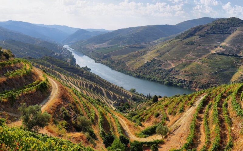 Tour Porto Douro Valley | The richness of Wine | ALL INCLUD. - Visits to Régua and Pinhão Vineyards for Wine Tastings