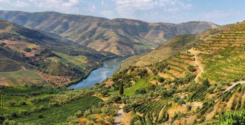 Tour Porto Douro Valley | The richness of Wine | ALL INCLUD. - Amarante and Its Cultural Treasures