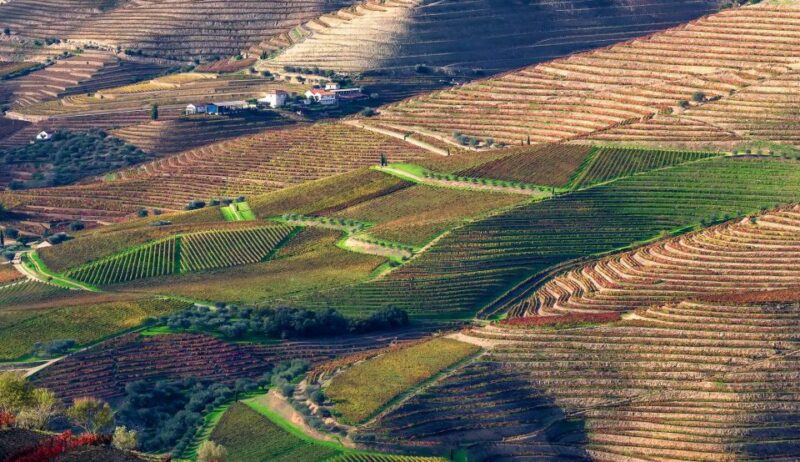 Tour Porto Douro Valley | The richness of Wine | ALL INCLUD. - The Logistics: Transportation and Group Size