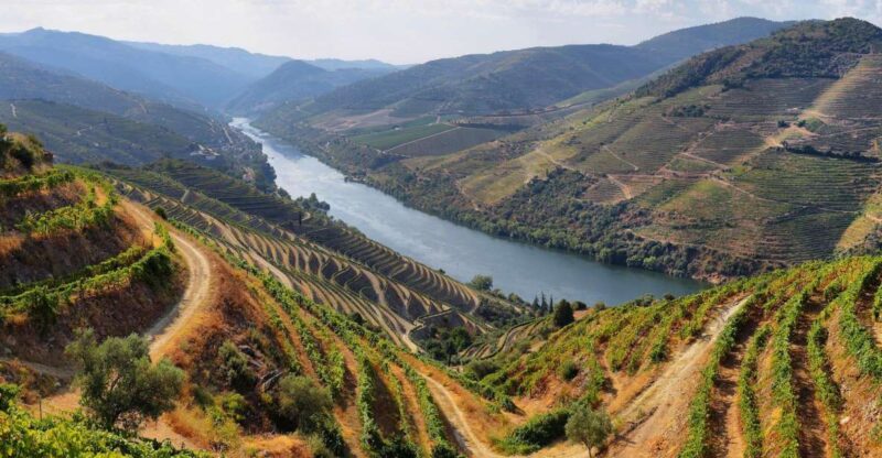 Tour Porto Douro Valley | The richness of Wine | ALL INCLUD. - Included Activities and Tastings: A Taste of Authentic Portugal