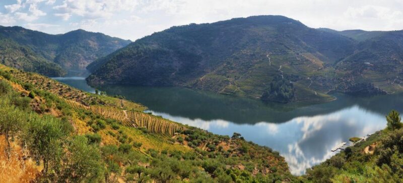 Tour Porto Douro Valley | The richness of Wine | ALL INCLUD. - Authentic Wine and Olive Oil Tastings in the Douro