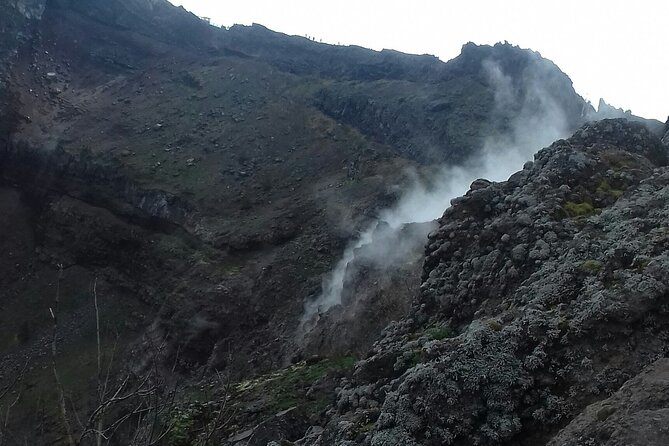 Tour Positano & Sorrento with a lunch stop - High Satisfaction and Strong Reviews