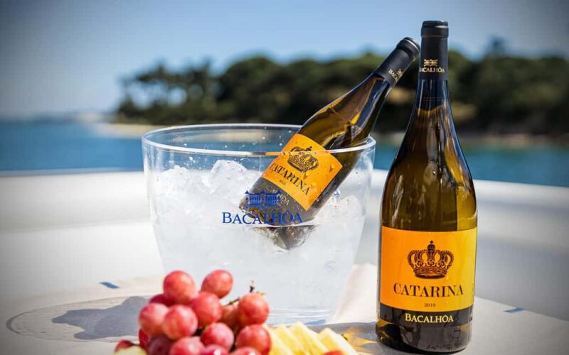 Tour Private Wine Tasting - Tasting Three Premium Wines in a Stunning Setting