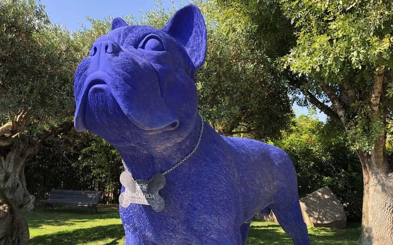 Tour Private Wine Tasting - Flexible Endpoints and Tour Pacing