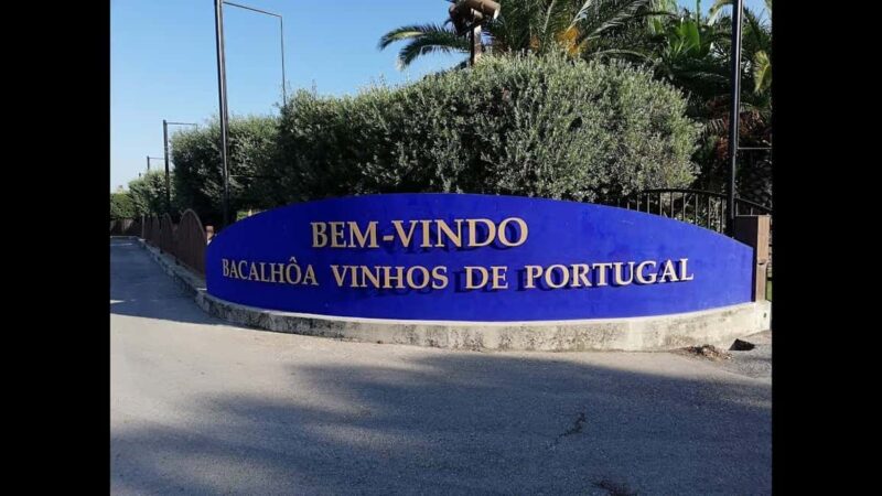 Tour Private Wine Tasting - Comparing Similar Experiences in the Region