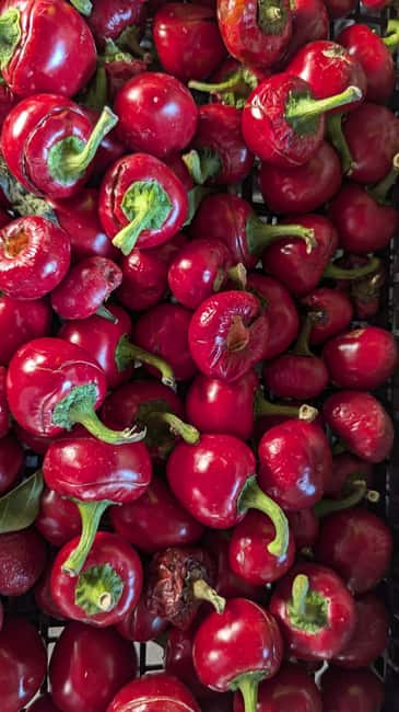 Tour SantAmbrogio Market Like a Local & Tuscan Tastings - Accessibility and Practical Details