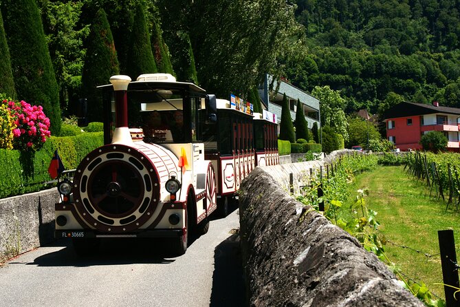 Tour Städtle Tour - The Red House: Vaduz’s Oldest Building and Wine Heritage