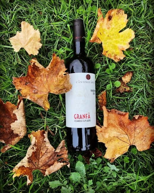 Tour & Tasting at Cantine Capitani - Key Points