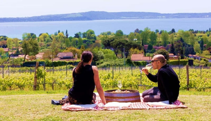 Tour & Tasting at Cantine Capitani - The Scenic Surroundings of Lake Bracciano