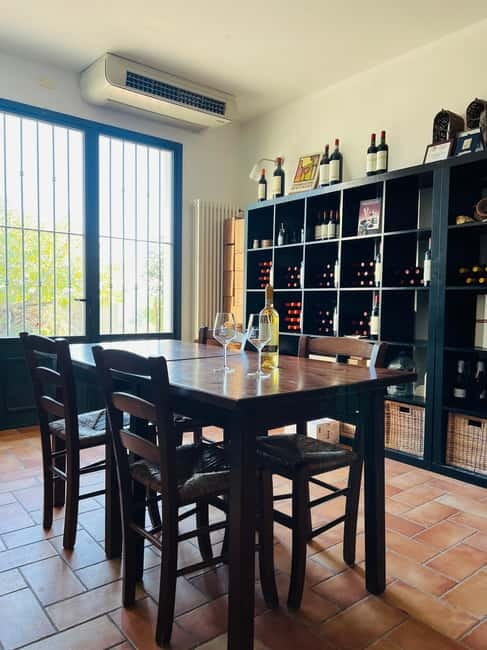 Tour & tasting at Tenuta la Viola - Key Points