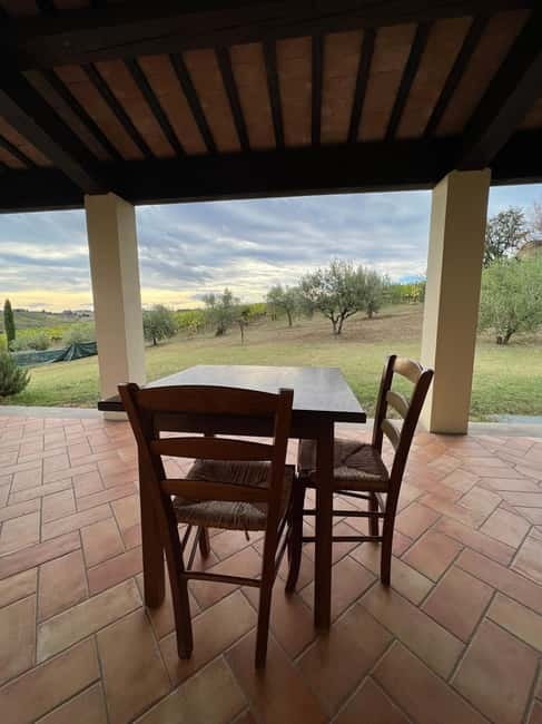 Tour & tasting at Tenuta la Viola - Tasting Three Native Romagna Wines