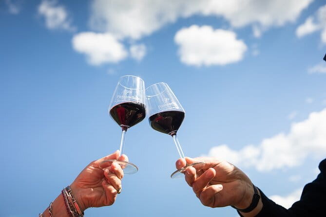 Tour Tasting & platter at an Organic Winery - Panzano in Chianti - Key Points